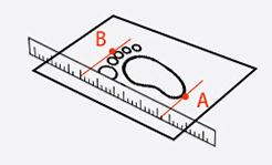 Toddler Internal Length Measure