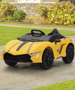 Electric Riding Vehicles