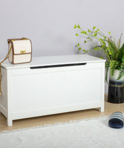 Toy Box With Safety Hinged Lid