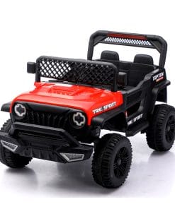 Riding Toys For Kids With Remote Control