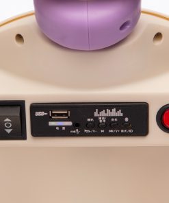 12V 2WD Ride On Scooter