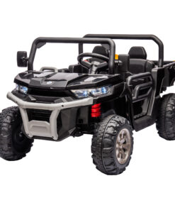 24V Ride On Truck 2 Seater