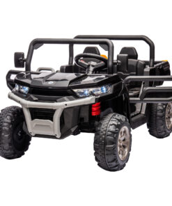 24V Ride On Truck 2 Seater
