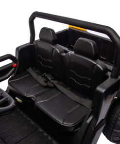 24V Ride On Truck 2 Seater