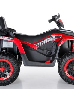 24V 4WD Electric ATV